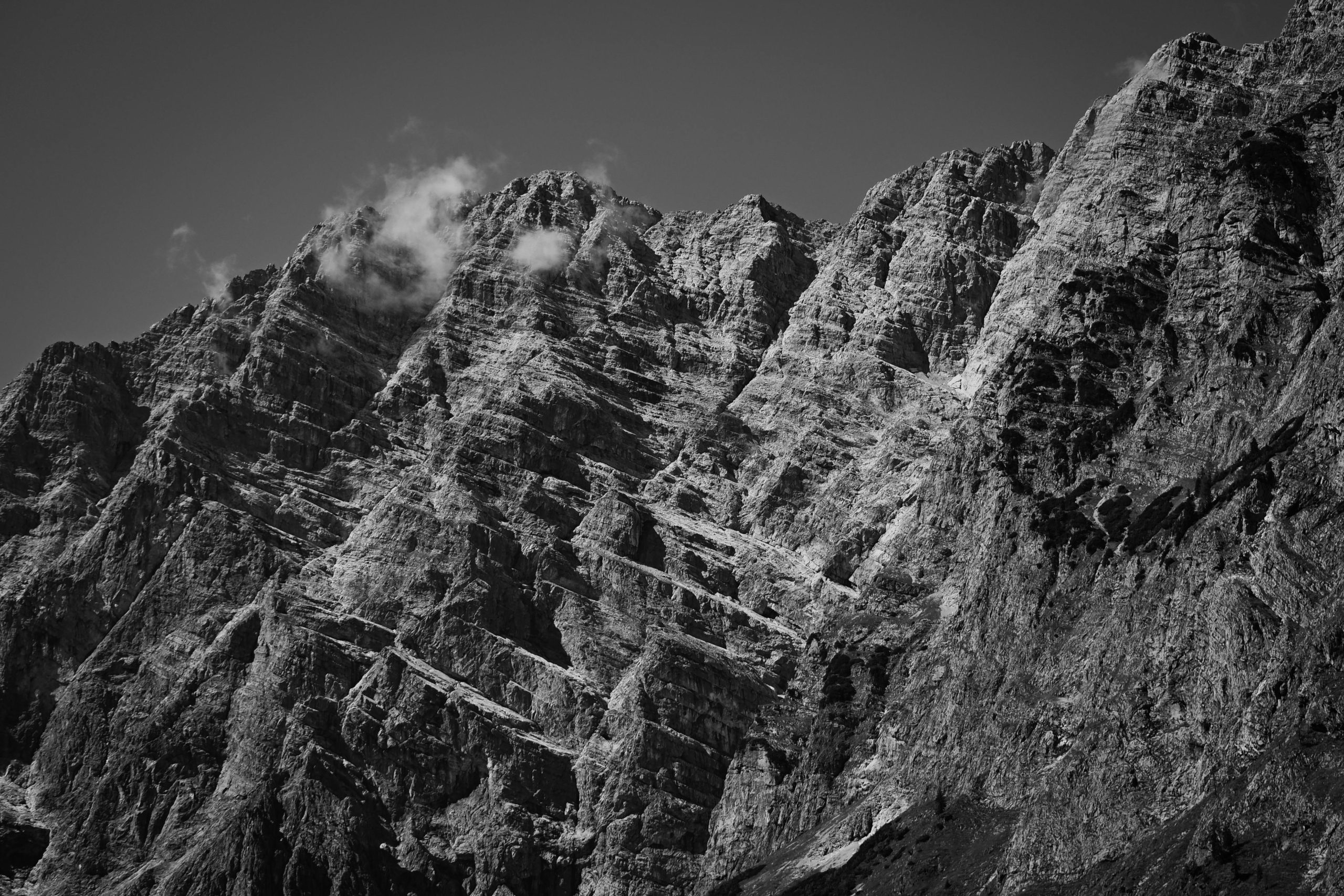 展庭百科匯-生活常識(shí)、百家故事分享